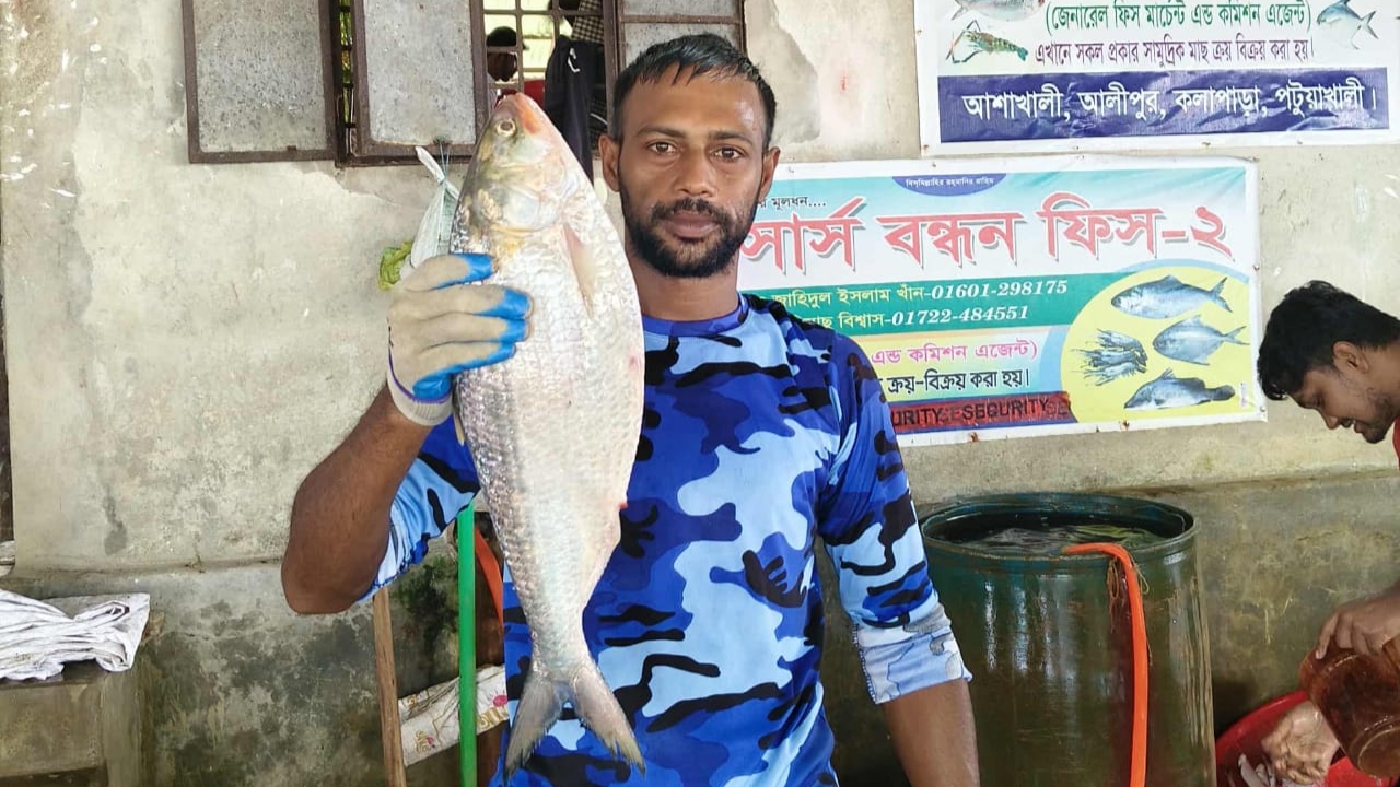 কুয়াকাটায় এক ইলিশ বিক্রি সাড়ে ৬ হাজার টাকা